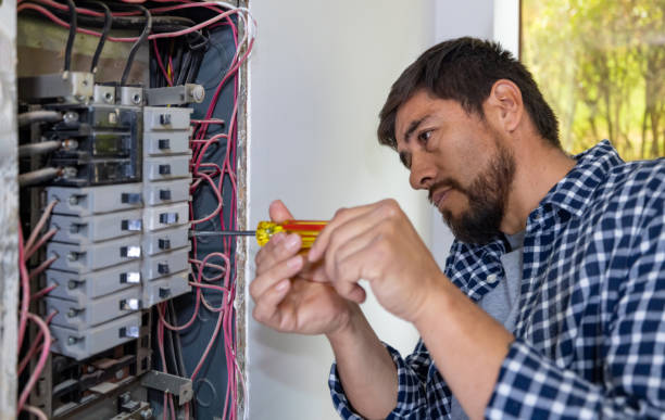 Best Electric Panel Repair  in Fort Loramie, OH